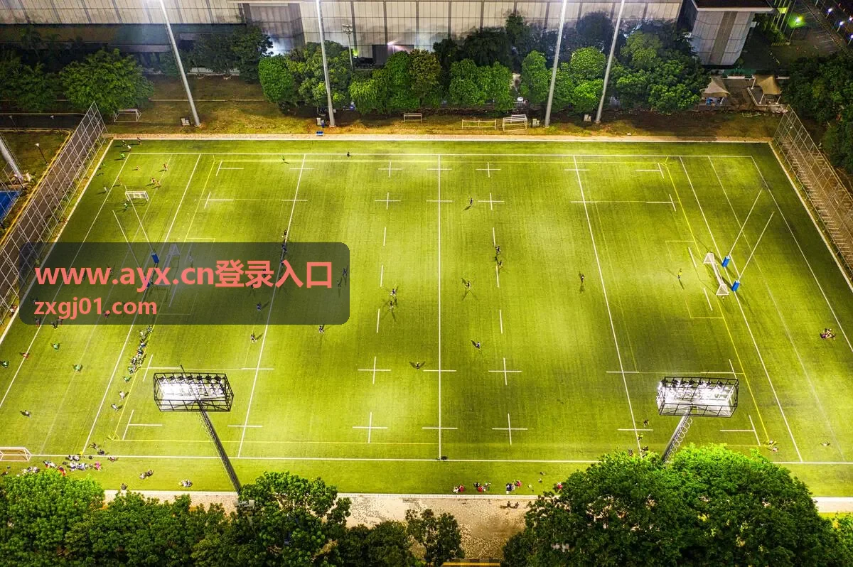 www.ayx.cn登录入口 异常情况处理缩略图