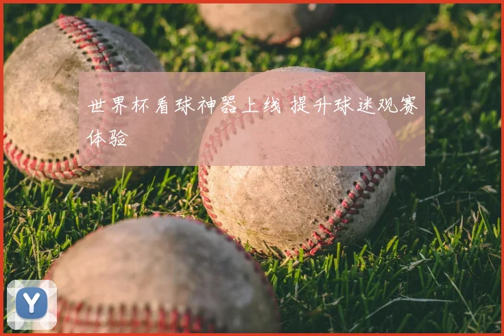 世界杯看球神器上线 提升球迷观赛体验