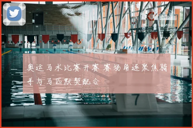 奥运马术比赛开赛 赛场角逐聚焦骑手与马匹默契配合